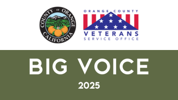Big Voice Cover Image